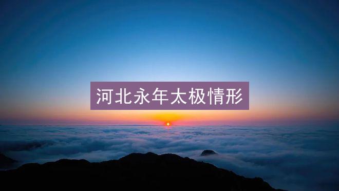 河北永年太极情形