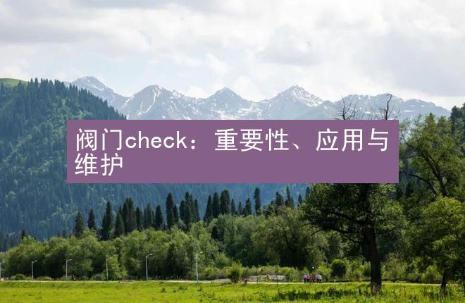 阀门check：重要性、应用与维护