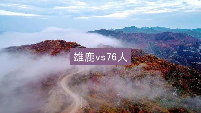 雄鹿vs76人