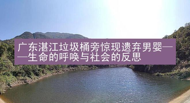 广东湛江垃圾桶旁惊现遗弃男婴——生命的呼唤与社会的反思