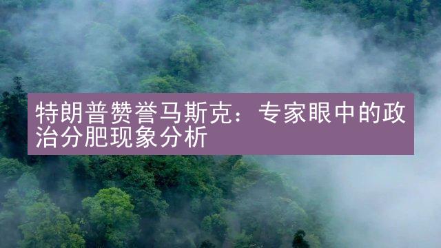 特朗普赞誉马斯克：专家眼中的政治分肥现象分析