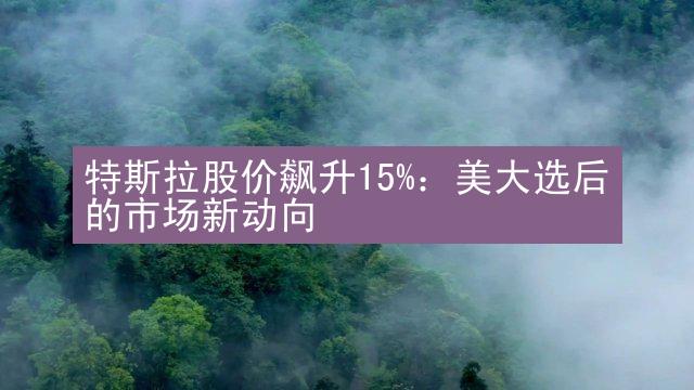 特斯拉股价飙升15%：美大选后的市场新动向