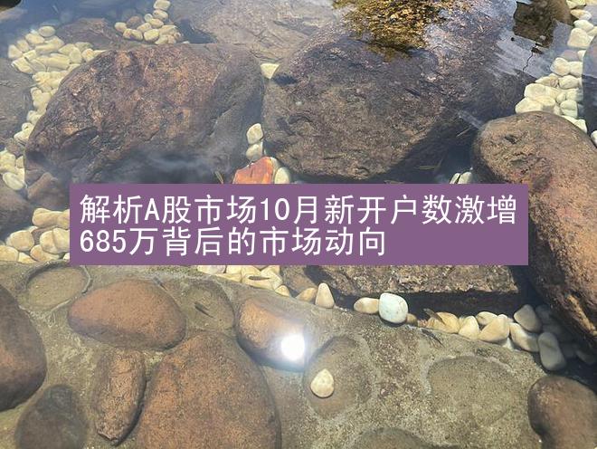 解析A股市场10月新开户数激增685万背后的市场动向