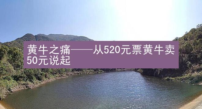 黄牛之痛——从520元票黄牛卖50元说起