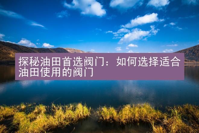 探秘油田首选阀门：如何选择适合油田使用的阀门