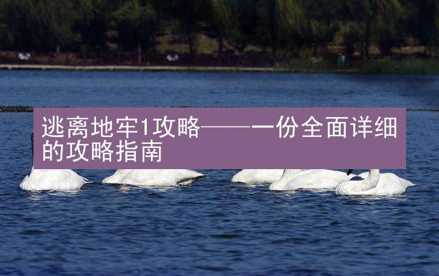 逃离地牢1攻略——一份全面详细的攻略指南