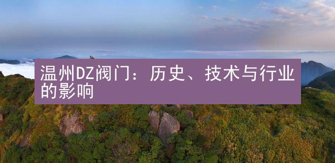 温州DZ阀门：历史、技术与行业的影响