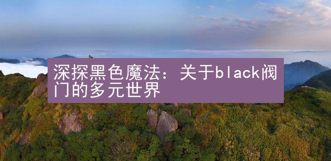 深探黑色魔法：关于black阀门的多元世界