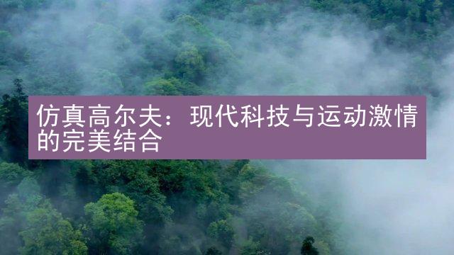 仿真高尔夫：现代科技与运动激情的完美结合