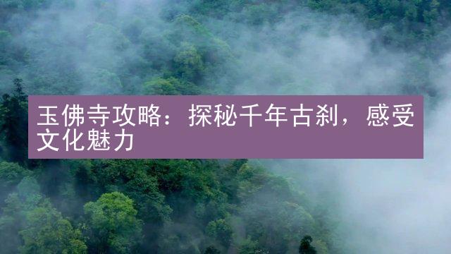 玉佛寺攻略：探秘千年古刹，感受文化魅力