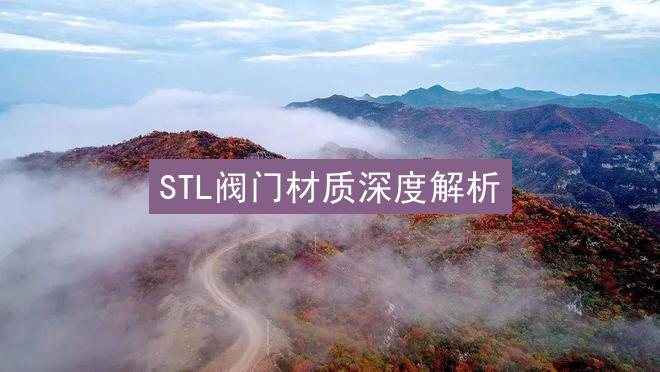 STL阀门材质深度解析