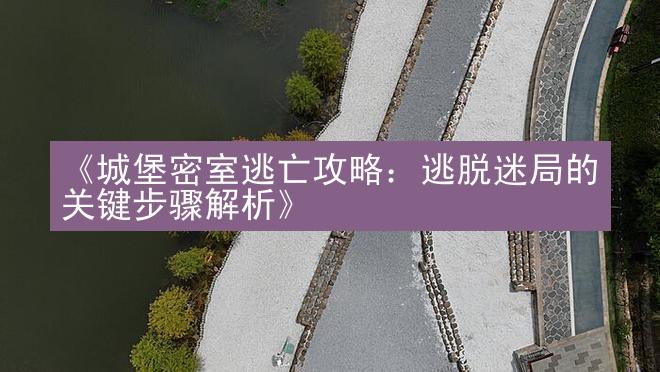 《城堡密室逃亡攻略：逃脱迷局的关键步骤解析》