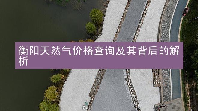 衡阳天然气价格查询及其背后的解析