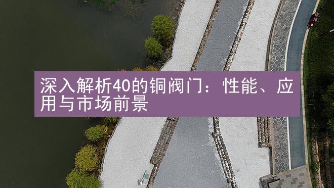 深入解析40的铜阀门：性能、应用与市场前景