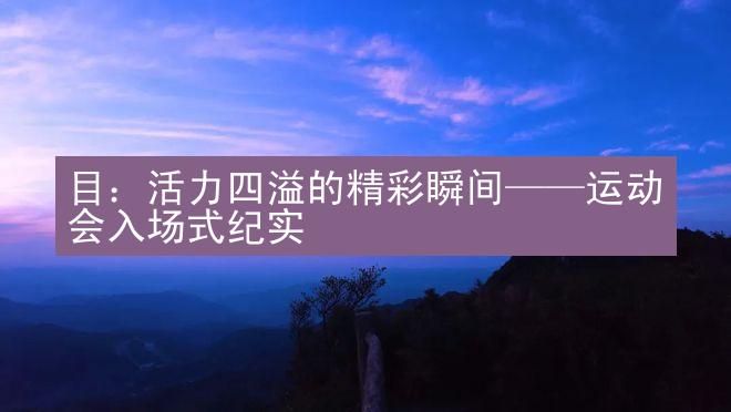 目：活力四溢的精彩瞬间——运动会入场式纪实