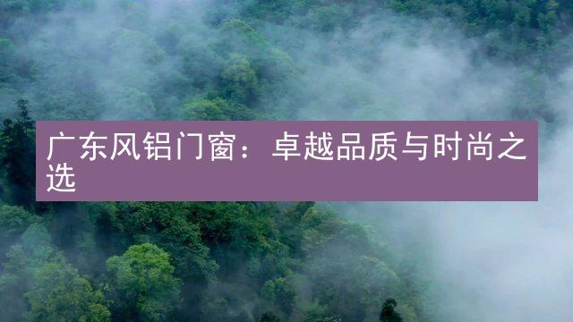 广东风铝门窗：卓越品质与时尚之选