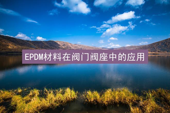 EPDM材料在阀门阀座中的应用