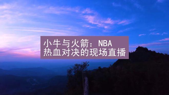 小牛与火箭：NBA 热血对决的现场直播