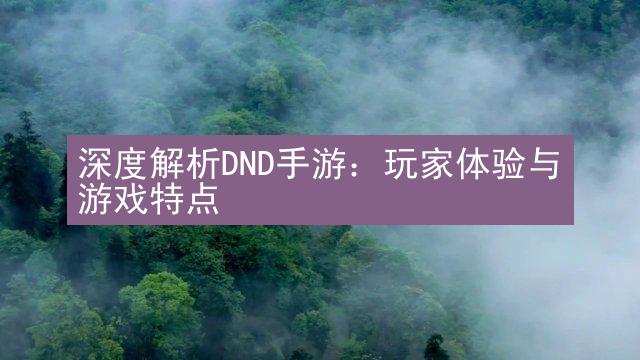 深度解析DND手游：玩家体验与游戏特点