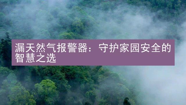 漏天然气报警器：守护家园安全的智慧之选