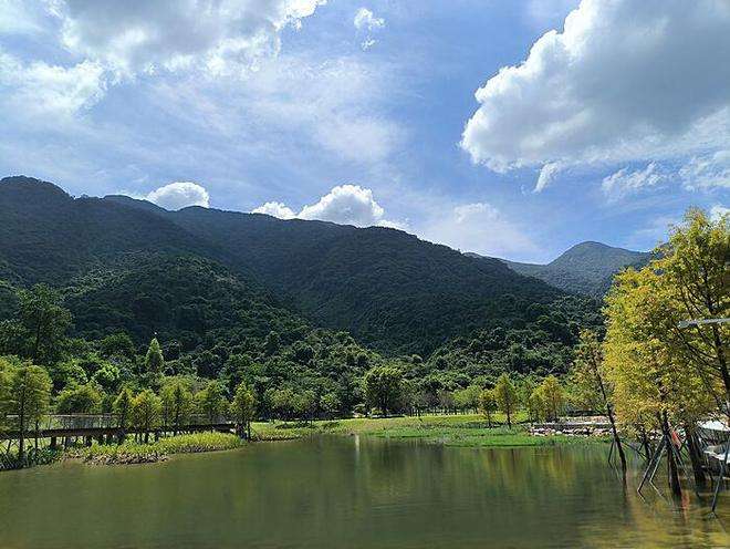 黄牛市场对山姆和胖东来的影响：是否会带来毁灭性打击？